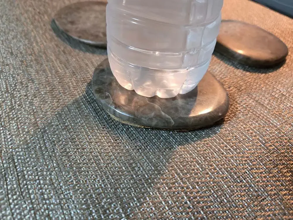 Set of 4 Polished Petoskey Stone Fossil Coral Drink Coasters with Cork Backing